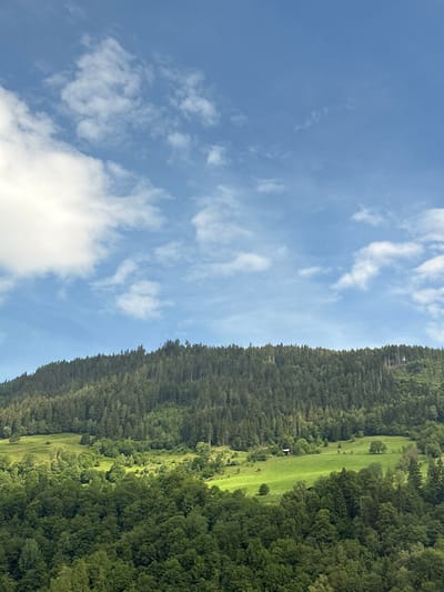 The image shows a wide, panoramic view of a lush, green mountainous landscape under a bright blue sky with scattered white clouds. In the foreground, dense green trees cover the lower portion of the frame, with their varied textures and shades suggesting deciduous and coniferous species. Above this, the mid-ground features rolling green hills and meadows, interspersed with patches of trees. A small red building, possibly a barn or a shed, is visible on one of the sunlit meadows, along with a few scattered trees and what appear to be fence posts. The background is dominated by a steep mountainside covered in a dense forest of dark green coniferous trees. The forest extends to the crest of the mountain, where the treeline meets the sky. The overall impression is one of a serene, natural environment, likely in a rural or alpine setting, characteristic of areas like Sankt Veit im Pongau, Austria, which is known for its picturesque mountain scenery and agricultural lands.