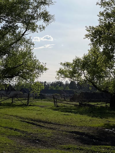 The image depicts a rural scene near Sloboda, Russia. The foreground consists of a grassy field with patches of bare, muddy ground. A wooden fence runs through the field. Beyond the fence, several buildings with dark roofs are visible, suggesting farmhouses or other rural structures. Trees with green foliage frame the top and sides of the image, obscuring the sky which shows some scattered clouds.