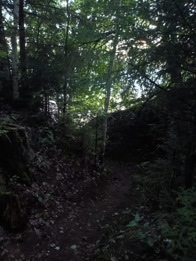 The image depicts a shaded forest path winding through dense trees. The lighting suggests either early morning or late evening, with sunlight filtering through the canopy in some areas. The ground is covered in dark soil, fallen leaves, and scattered green undergrowth. On the left side of the path, a moss-covered rocky incline is visible. The overall scene is natural and tranquil, characteristic of a wooded area within or near the city of Gory, Russia, though no specific landmarks are identifiable. There are no people or animals present in the image.