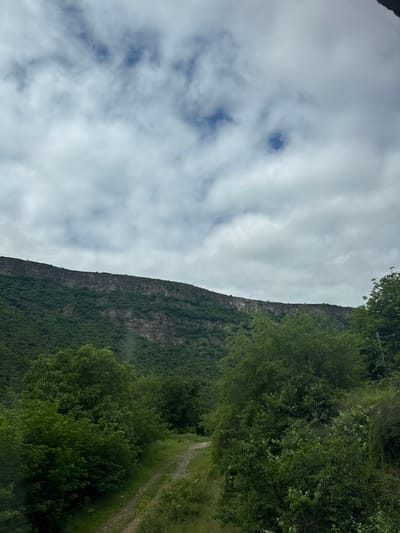 This is an outdoor, eye-level, medium shot photograph taken on a cloudy day. The scene depicts a natural landscape with a prominent, flat-topped cliff face in the background, covered in dense green foliage. Below the cliff, the landscape transitions to a rolling, heavily forested mountainside. In the foreground, a dirt path winds through lush green trees and vegetation. The overall impression is one of a remote, natural environment within the vicinity of Tumanyan, Armenia, a town known for its scenic beauty. There are no people or animals visible in the image. The lighting is diffused due to the overcast sky, casting soft shadows and creating a somewhat subdued color palette dominated by greens and grays.