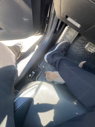 In Nor Khachakap, Armenia, a perspective shot from inside a vehicle shows a person's legs and feet, wearing dark pants and athletic shoes. The driver's side door is open, with sunlight streaming into the car. A small, light-colored kitten is visible on the floor mat, partially obscured by the person's leg. The interior of the car appears to be a standard model, with a speaker grille visible on the door panel, and pedals for driving. The floor is covered with black rubber mats. The overall lighting suggests a daytime scene outdoors.