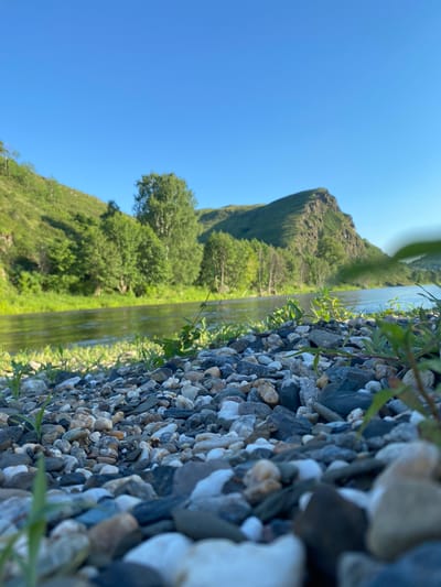 A low-angle, eye-level shot captures a rocky riverbank in Bol'sheyarslangulovo, Russia. The foreground is dominated by a dense collection of river stones of various sizes, colors, and textures, with sparse blades of green grass emerging between them. A body of water, reflecting the clear blue sky, occupies the middle ground. Beyond the river, a lush green hillside is densely covered with trees, with a prominent rocky peak visible in the distance against the bright blue sky. The overall scene is one of natural beauty and tranquility.