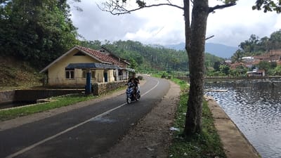 The image depicts a rural or semi-rural landscape in Kecamatan Panjalu, Indonesia, during what appears to be an overcast or partly cloudy daytime.

The central subject is a paved asphalt road that curves from the foreground towards the left. A person is riding a blue and black scooter motorcycle on this road, moving away from the viewer. The road has a distinct white line running along its edge.

To the left of the road, a light-colored house with a prominent red-tiled roof is visible, featuring a small covered porch supported by blue pillars. Behind this house, the terrain rises, covered in dense green trees and foliage, forming a hillside. Further into the background, more houses with red-tiled roofs are scattered amidst a lush, hilly, and mountainous landscape.

On the right side of the scene, a large tree trunk stands prominently in the foreground, with its branches extending out of the top of the frame. Adjacent to the road and the tree is a calm body of water, likely a lake or a large pond, which appears to be used for aquaculture due to several visible square or rectangular structures floating on its surface, possibly fish cages. The water's surface shows subtle ripples.

The overall scene conveys a sense of everyday life in a verdant, hilly region with a mix of natural beauty and human settlement. No visible text is present in the image.