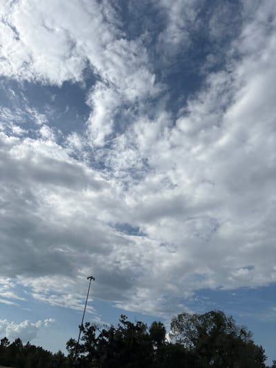 A vertical, eye-level, wide shot captures a view of a bright, partly cloudy sky with trees and a light pole in the foreground. The sky is filled with scattered, wispy white clouds against a deep blue background. In the lower part of the frame, a row of dark green trees stretches across the bottom, with the silhouette of a tall, slender light pole with multiple lights at its apex rising from behind them on the left. The scene appears to be in an outdoor area, possibly a park or along a road, in Palmetto, United States.