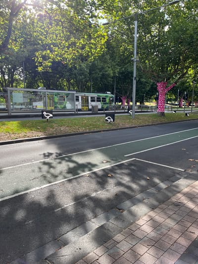 The image depicts a sunny urban scene in Southbank, Australia, featuring a tram stop, a tram, and an adjacent multi-use path and sidewalk, all bordered by lush green trees. The setting suggests a public transport corridor integrated with green space and pedestrian/cyclist infrastructure.
In the mid-ground on the left, a green and white tram, possibly from Public Transport Victoria (PTV) given the "P.T" logo visible, is stopped at a modern glass-sheltered tram stop. The tram has multiple windows and doors. Behind the tram and along the grassy median, several tree trunks and lower branches are uniquely wrapped in a vibrant pink fabric adorned with white polka dots, serving as whimsical public art installations.
Along the grassy verge next to the tram stop, several black square signs with white pictograms are visible, depicting a person in motion, possibly cycling or running, indicating shared paths or recreational areas.
To the right of the tram stop and grassy area is a paved surface. This includes an asphalt road or path with clear markings: a section painted green indicates a dedicated bike lane, separated by white lines from other parts of the surface. Further to the right, there is a textured paved sidewalk made of square pavers.
The bright sunlight casts prominent, elongated shadows of trees and overhead structures across the path and sidewalk, suggesting either morning or late afternoon. No people are explicitly visible, but the presence of the tram and stop implies an active urban environment. The overall impression is a well-maintained and art-infused public space.