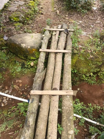 A makeshift bridge spans a small, muddy gap in a natural setting. The bridge consists of four roughly hewn logs laid side-by-side, held together by three horizontal wooden slats. The logs are light brown, with visible bark and texture. Vegetation, including moss and small plants, grows nearby, clinging to a large mossy boulder and the surrounding soil. A white plastic pipe runs parallel to the bridge's left side. A worn path extends beyond the bridge.