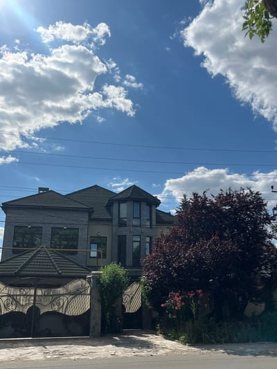 A medium shot captures a grand, multi-story residence in Kryzhanivka, Ukraine, bathed in bright daylight under a dynamic sky filled with fluffy white clouds. The house features a textured grey stone exterior and dark, multi-pitched roofs. Prominent architectural elements include a hexagonal turret with large windows on the upper level, and wide windows on the lower floors reflecting the surrounding greenery. In front of the house, an ornate black metal gate with intricate scrollwork and diamond patterns is set between two stone pillars. To the right of the gate, a lush, dark red-leaved tree dominates the foreground, its dense foliage partially obscuring a cluster of pink roses growing at its base. The ground in front of the property is paved with irregular grey stones, leading to a paved road. Power lines are visible against the blue sky, and a hint of green foliage from another tree is present in the upper right corner. No people are visible in the scene.
