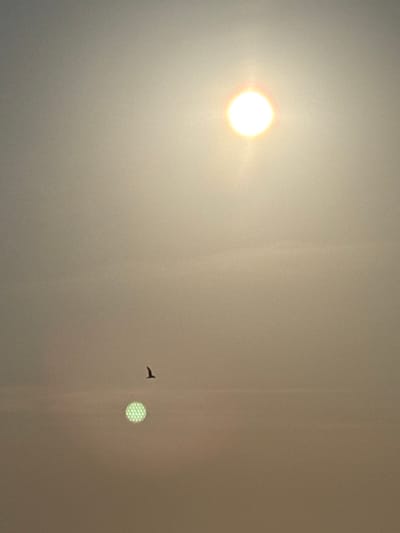 This image, captured over Palaiopoli, Greece, depicts a hazy sky. A brilliant, circular light source, consistent with the sun, is positioned in the upper right quadrant, emitting strong white-yellow light and radial flares. A dark, silhouetted bird with extended wings is in mid-flight below and to the left of the sun. In the lower-middle section, a distinct, perfectly circular green orb with a prominent grid-like or cellular pattern is visible, appearing as an optical artifact or reflection. The sky's ambient color transitions from pale yellow near the sun to a desaturated grey-brown towards the bottom, devoid of any visible ground features.