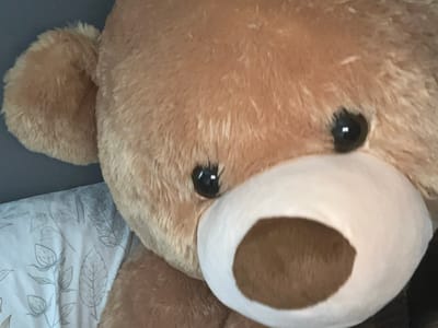 This is a close-up, eye-level media file of a large, fuzzy, light brown teddy bear. The bear is positioned in a seemingly domestic setting, with a gray wall visible in the upper left and a bed with white, patterned bedding on the left side. The bedding features a delicate, sketched pattern of leaves and branches in a light gray hue.
The bear's face is the primary focus, with its left ear visible on the far left of the frame and its right ear cut off by the edge. Its large, round, black plastic eyes are prominent, reflecting a small white highlight in each, suggesting artificial lighting. The bear has a pronounced muzzle area, which is a lighter cream color and encompasses a large, oval-shaped brown nose. The mouth is not clearly defined, but the muzzle's open shape gives the impression of a surprised or slightly agape expression. The fur texture of the bear is soft and fluffy, with individual strands visible.
No specific activity is taking place; the bear appears to be stationary. The lighting seems to be indoor ambient light, making it difficult to determine the time of day or weather conditions. The location context indicates Nijmegen, Netherlands, but there are no specific visual cues within the image to confirm this. There is no visible text in the media file. The overall impression is one of comfort and childlike innocence, often associated with teddy bears.