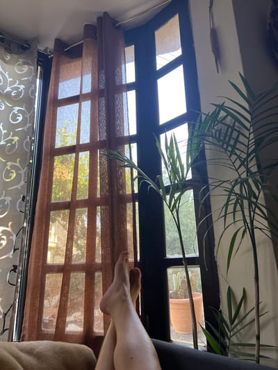 The image captures an indoor perspective looking out through a window in Karney Shomron, Palestinian Territory, during daylight hours. In the lower center foreground, a pair of bare human legs, crossed at the ankles, rests on a beige fabric-covered surface. The central and right portions of the frame are dominated by a dark-framed, multi-pane window. A sheer, reddish-brown curtain, suspended from a metal rod, is partially drawn across the left section of the window. A patterned light-colored curtain is visible on the far left. Two tall, slender, palm-like green plants are positioned indoors in front of the right side of the window. Through a lower pane of the window, a terracotta pot containing a prickly pear cactus is visible outside. Beyond the window, through the translucent curtain and open panes, a dense canopy of green trees and portions of a light-colored building with dark window openings are discernible. An off-white wall with a small, elongated hanging object is visible in the upper right corner of the room.