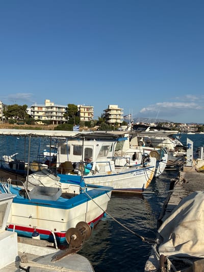 In Limenas Markopoulou, Greece, several fishing boats are docked in a harbor under a clear blue sky. The boats are white with blue trim and some have blue canopies. One boat in the foreground has the Greek lettering "ΑΓ. ΔΗΜΗΤΡΙΟΣ Λ.Ρ.6584 A" visible on its side. In the background, there are multi-story buildings with balconies and trees. The water in the harbor is calm and dark blue. The scene appears to be a typical day in a Greek fishing village.