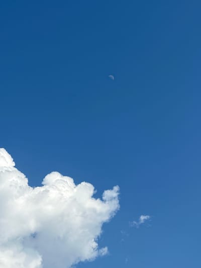 A photograph taken from below looks up at a clear blue sky. A crescent moon is visible in the upper right quadrant of the image. A large, white, fluffy cloud dominates the bottom left of the image. This is an outdoor shot, likely taken in Slivo Pole, Bulgaria, given the context of the request, though the image itself does not contain explicit location markers. The scene is serene and natural, with no signs of human activity.