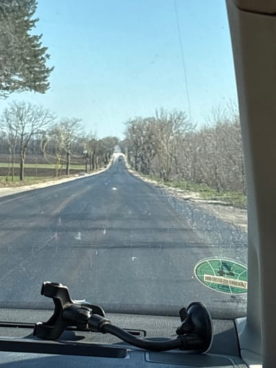 The image depicts a forward-facing view from inside a vehicle onto a rural road in Senokos, Bulgaria, under a clear, light blue sky. In the immediate foreground, a dark grey dashboard is visible. Attached to the lower right portion of the windshield or dashboard is a black, flexible smartphone mount with a suction cup base, its arm extending left to a cradle. A green oval sticker, displaying inverted text due to reflection, is affixed to the lower right section of the windshield.
The central subject is a straight, dark-paved road that recedes into the distance, ascending a gentle incline and disappearing over a crest. The road surface exhibits minor streaks and reflections. On the left side of the road, a narrow strip of light-colored ground borders a field with visible brown and green cultivation, followed by a sparse line of bare deciduous trees. A portion of a coniferous tree is visible at the extreme upper left. The right side of the road is bordered by a similar strip of light-colored ground, followed by a dense line of bare deciduous trees and shrubs. No people or other vehicles are visible. The scene is illuminated by bright daylight, suggesting a sunny day.