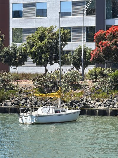 A white sailboat is docked next to a rocky embankment and a modern building. The sailboat is positioned on the right side of the image, partially submerged in the greenish water. A yellow tarp or sail is draped over the boom of the boat. The embankment is made of large, dark gray rocks, with some vegetation growing in between. Behind the embankment, there's a paved area with more greenery and trees. To the left of the embankment is a multi-story building with a gray facade and a series of windows. Some windows have reflective surfaces, showing trees and the sky. Red-flowering trees are visible near the top left of the building. The scene appears to be in a canal or a harbor. The lighting suggests it is daytime, possibly late morning or afternoon, with bright sunlight. There is no visible text in the image. The overall impression is a tranquil waterside scene, possibly in an urban or suburban environment.
