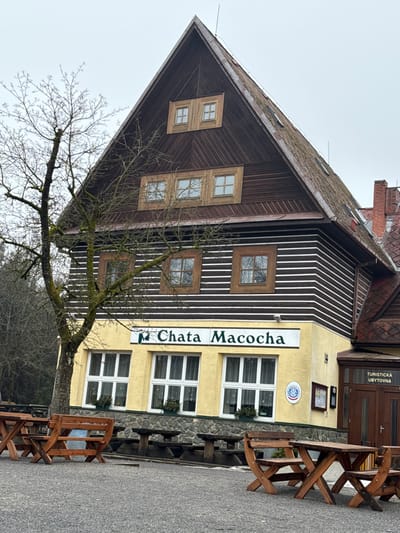 This eye-level exterior photograph, captured in Vilémovice, Czechia, presents the "Chata Macocha" lodge under an overcast sky. The multi-story structure features a steeply pitched, dark brown tiled roof exhibiting moss or lichen growth, equipped with multiple lightning rods, and a red brick chimney visible on the far right. The upper gable sections are clad in dark brown wooden siding, incorporating two pairs of rectangular windows with light-colored wooden frames. The mid-section of the building's facade is constructed of dark brown wooden siding accented with horizontal white stripes, resembling a log cabin aesthetic, and contains three rectangular windows with dark brown frames. The ground floor level features a light yellow painted facade above a grey stone foundation, displaying a white banner with "Chata Macocha" in green text. This level is punctuated by three large rectangular windows with white frames, each fitted with window boxes containing green foliage. To the right, a recessed entrance with a brown wooden door is labeled "TURISTICKÁ UBYTOVNA" (Tourist Accommodation), and a blue circular emblem is affixed to the yellow wall. A bare deciduous tree, its trunk and branches coated in lichen, stands prominently to the left of the building, its branches extending across the facade. The foreground consists of a grey paved or gravel area furnished with numerous unoccupied wooden outdoor seating arrangements, including light-colored X-frame picnic tables and benches, and darker wooden tables with stone bases. A dense forest of bare trees forms the background on the left. No individuals are present in the scene.