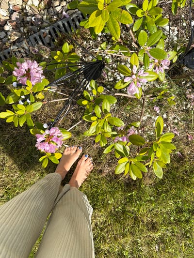 A pair of bare feet with blue nail polish are visible on green grass in the foreground. The feet are positioned next to the lower legs of a person wearing light green ribbed pants. The background shows a patch of ground with gravel, a dark gray grate, and branches of a rhododendron plant with pink flowers and green leaves. The scene appears to be outdoors in a garden or yard.