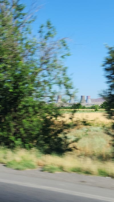 The image captures a view of cooling towers at the Armenian Nuclear Power Plant, located near Arshaluys, Armenia. The perspective suggests the photo was taken from a moving vehicle, as evidenced by the motion blur in the foreground foliage and the roadside. In the mid-ground, rows of yellowing vegetation or crops are visible, with several large, distinctive cooling towers standing prominently against a clear blue sky in the distance. The cooling towers are identifiable by their hyperboloid shape and ribbed structures. Green trees, also blurred by motion, frame the left and right sides of the scene, partially obscuring the view of the power plant. The ground in the foreground is a paved road, further indicating a moving viewpoint. The overall impression is a landscape shot emphasizing the industrial structure within its natural surroundings, viewed in transit.
