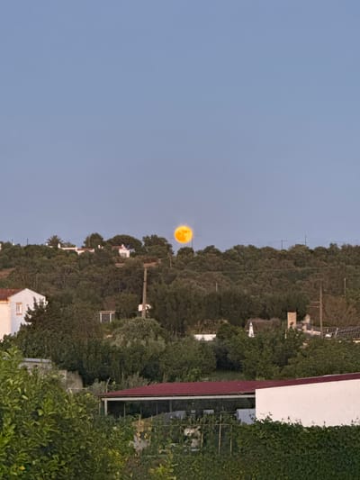 The image shows a rural landscape at dusk, likely on the outskirts of Lagos, Portugal, given the characteristic architecture and vegetation. A large, brightly colored full moon, appearing orange-yellow, is prominently positioned above a wooded hill. The hill is covered with dense green trees, and scattered white buildings with red roofs are visible amongst them, suggesting a village or scattered dwellings. In the foreground, the tops of trees and some structures, including a white building with a red roof, are visible, indicating a lower vantage point. The sky is a clear, soft blue, characteristic of twilight. No people are visible in the frame. The overall impression is a serene, pastoral scene with the moon as the focal point.