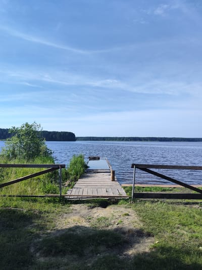 A wooden pier extends into a calm, blue lake under a bright, partly cloudy sky. The pier is made of weathered planks and is bordered by a simple wooden fence. Lush green grass and reeds grow around the pier and along the lake's edge. In the distance, a dense forest lines the far bank of the lake. The scene suggests a peaceful, natural setting, likely in a rural area.