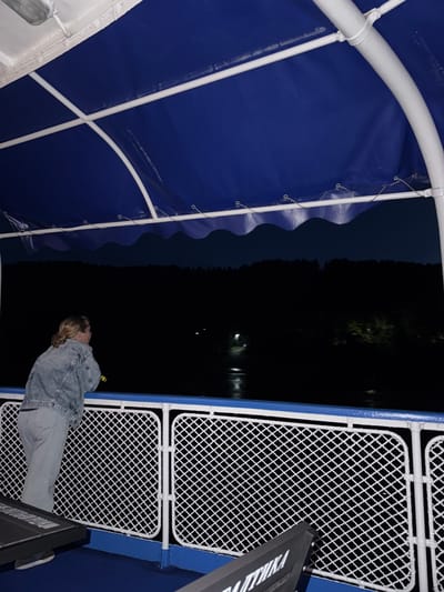 An overhead shot captures a woman standing on the deck of a boat, gazing out at a dark, tree-lined shore at dusk. The woman is wearing a denim jacket and light-colored pants. She is leaning on a white railing that encloses the deck, which is painted blue. A blue canopy is visible overhead, supported by white poles. The water is dark and calm, with a few distant lights visible on the shore. The scene suggests a peaceful evening on the water, possibly during a tour or a private outing. The location is not specified in the provided information.