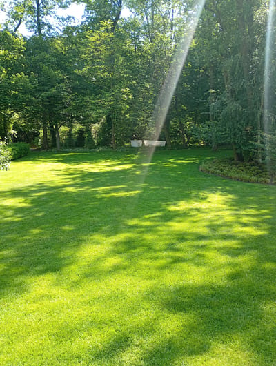 This is a sun-drenched, well-maintained lawn in Nowa Wieś Szlachecka, Poland. The grass is a vibrant, short-cropped green, reflecting the bright sunlight. Streaks of light pierce through the canopy of mature trees that form a dense border around the lawn. The trees are lush with green leaves, suggesting a summer or late spring setting. In the background, near the tree line, two light-colored, rectangular structures, possibly benches or seating, are visible. A small, curved planting bed with low-lying greenery separates the lawn from the tree line on the right side of the image. The scene is tranquil and appears to be a private backyard or park area. There are no people or animals present in the image.