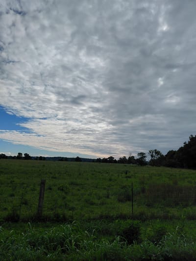 The image depicts a wide, open field under a heavily clouded sky. The field is covered in lush green grass and appears to be in a rural setting, possibly on the outskirts of Owingsville, Kentucky, United States. A weathered wooden fence post stands on the left side of the frame, partially obscured by tall grasses. A wire fence runs horizontally across the middle ground. In the distance, a line of trees marks the horizon, with more trees forming a dense forest on the far right. The sky is filled with a dense layer of grey and white clouds, with a small patch of blue sky visible on the far left. The lighting suggests it is daytime, possibly early morning or late afternoon, as the light is diffused and soft. There are no people or animals visible in the scene. The overall atmosphere is one of quiet and natural beauty, characteristic of the Kentucky landscape.