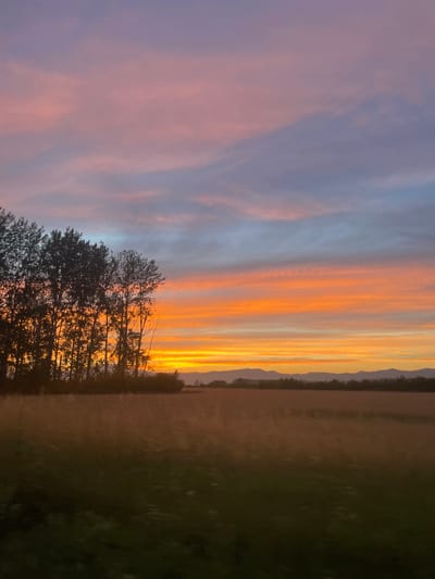 An image captures a vibrant sunset over a rural landscape, likely in Ovoshtnik, Bulgaria, given the context provided. The sky is painted with streaks of pink, orange, and blue, indicative of a sunset. In the foreground, a line of tall, silhouetted trees stands against the colorful sky. Beyond the trees, a field extends, appearing golden and brown, suggesting harvested crops or dry grass. In the distance, a hazy silhouette of mountains or hills can be seen, meeting the horizon. The overall scene depicts a peaceful, natural environment at dusk. There are no people or discernible actions depicted in the image.