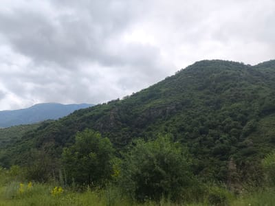 The image captures a lush, mountainous landscape under a cloudy sky. The foreground features a dense layer of green grass and foliage, with occasional yellow wildflowers scattered throughout. Behind this grassy area, the terrain rises sharply, covered in a dense forest of dark green trees. Rocky outcrops and ledges are visible peeking through the dense canopy of trees on the slopes.
In the distance, a larger mountain range is visible, its peaks softened by atmospheric haze and the overcast sky. The mountains appear layered, with the closer, forested hills forming a distinct mid-ground. The sky is filled with thick, gray clouds, suggesting it might be a cool, overcast day, perhaps early morning or late afternoon. There is no visible activity or event taking place, and the scene evokes a sense of natural tranquility. The location is identified as Aygehat, Armenia. There is no visible text in the image.