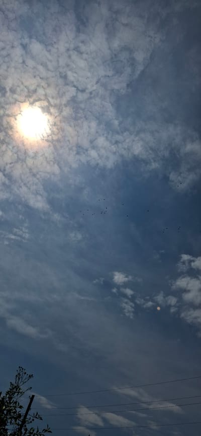 The image depicts a sky with scattered clouds and a bright sun on the left. A flock of birds is visible flying in the middle of the frame. In the lower portion of the image, a tree branch and power lines are visible, suggesting an outdoor scene. The lighting indicates it is daytime, possibly late afternoon or early morning, given the angle of the sun and the coloration of the sky. There are no identifiable landmarks to suggest a specific location within Verkhneural'sk, Russia. The overall atmosphere is natural and tranquil.