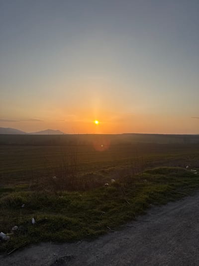 The image depicts a rural landscape at sunset in Struino, Bulgaria. The sky transitions from a light blue-grey at the top to a bright orange and yellow towards the horizon. A prominent, circular yellow sun is positioned centrally on the horizon, emitting a distinct lens flare below it. Low-lying, dark hills are visible on the far left of the horizon. The midground features expansive, uncultivated or recently planted fields, displaying dark green and brown soil tones. The foreground includes a strip of dry, sparse vegetation with bare branches running horizontally, containing visible scattered white litter (e.g., plastic bags, paper). To the right, a segment of a dark, unpaved dirt or gravel road is visible, bordered by a mound of green grass also containing white litter. No individuals, animals, or specific actions are observed.