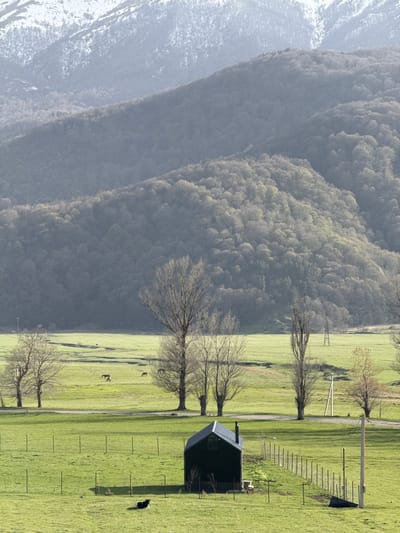 The image depicts a landscape in Margahovit, Armenia. A green field occupies the foreground, traversed by a dirt road. Several bare trees line the road. A small, dark-colored structure, possibly a shed, sits near the right edge of the frame, casting a shadow. A black and white dog stands near the structure. Fence posts are visible across the grass, suggesting a fenced in area. Deer are visible, near the road. In the background, a mountain range with forested slopes rises, with snow visible near the top of the left peak. The light suggests it may be late afternoon.