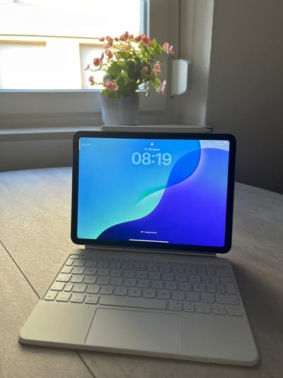 An iPad with a white Magic Keyboard is resting on a textured surface, positioned in front of a window. Sunlight streams through the window, illuminating a potted plant with pink flowers on the windowsill. The iPad screen displays the time as 08:19 and the date as July 30th, along with a battery indicator showing 100%. A white Apple Pencil is magnetically attached to the top edge of the iPad. The scene is indoors, possibly a home office or living area, and is located in Velbert, Germany.