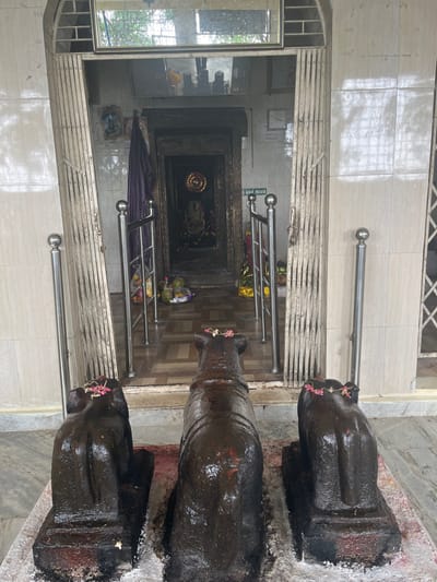 The image displays the entrance to a Hindu temple in Kilavallanadu, India. In the immediate foreground, three dark, polished stone statues, resembling Nandi bulls, are arranged facing the temple's inner sanctum. The central statue is larger and more elongated than the two positioned on its left and right. Each statue features small pink and white floral offerings on its upper surface and rests on a base covered with white powdery material.
The temple entrance consists of a dark, ornately carved wooden doorway leading into a dimly lit inner sanctum (garbhagriha). Within this sanctum, a deity, adorned with garlands and fabrics, is visible, illuminated by a circular golden light or halo positioned behind it. On the patterned tiled floor directly in front of the sanctum, offerings including multiple coconuts and other items on plates are arranged. Stainless steel railings flank the entrance, with a partially extended collapsible metal security gate visible on the right side. A purple fabric or curtain hangs on the left wall adjacent to the doorway. The surrounding walls are tiled with light-colored rectangular tiles. Above the entrance, a framed mirror reflects a portion of the overhead structure and ambient light. A small wall clock and text in Tamil script are present on the tiled wall to the right of the entrance. No individuals are present within the scene.