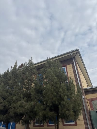 A low-angle view captures a building with a beige facade, trimmed with brown brick. Visible windows have blue coverings. Evergreen trees partially obscure the building. Above, a cloudy sky dominates the frame. The perspective and angle suggest the photograph was taken from a ground-level position.