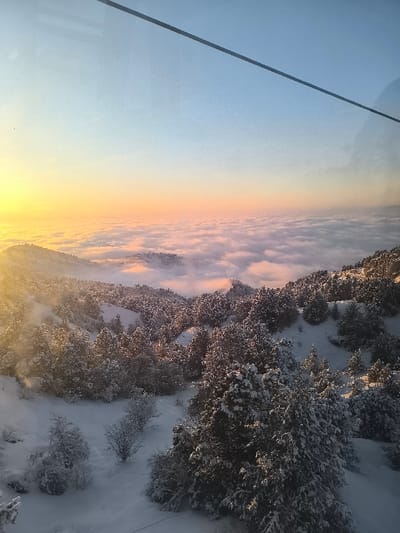 An aerial view captures the snowy landscape of the Amirsay ski resort in Uzbekistan during sunrise or sunset. The upper sky displays a gradient from a bright golden-orange on the left horizon, transitioning to soft peach and then clear blue at the top right. A wide cloud inversion forms a dense, white, horizontal layer across the mid-ground, resembling a sea of clouds, with warm golden and pink hues reflected from the sun. Below and partially emerging from this cloud layer are snow-covered mountain slopes densely populated with evergreen trees, their branches laden with white snow. Patches of deep snow cover the ground, revealing varied terrain with smaller, snow-dusted bushes in the foreground. A thin, dark cable traverses diagonally across the upper portion of the sky, extending from the upper-left to the upper-right of the frame. No individuals, actions, or interactions are visible.