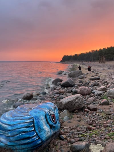 An outdoor, wide shot captures a stony beach at dusk in Luzhki, Russia. The sky is a gradient of purple and orange, with the lower portion of the sky displaying a vibrant orange sunset. The sea, a calm expanse of muted orange water, meets the shore where waves gently crash against a multitude of smooth, gray, and brown stones. In the foreground, a large rock is painted to resemble a blue fish head, with black and white stripes forming its scales and a red eye with a black pupil. Two dark-haired individuals, one in a black coat and the other in a dark jacket and pants, stand on the sandy beach in the middle ground, facing the sea. A dense line of dark green pine trees forms the backdrop, bordering the beach. Scattered among the trees are wooden structures. The overall impression is one of a serene and colorful natural landscape at the end of the day.