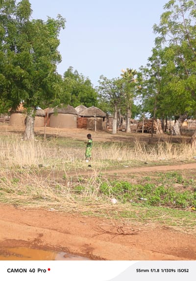 The image depicts a rural scene in Wase, Nigeria. In the mid-ground, a child in a green patterned dress is walking on a grassy terrain with thatched-roof, round houses in the background. The houses, likely traditional dwellings, suggest a village setting. Behind them, there is a stack of wood. Tall trees frame the scene on both sides. In the foreground is dry grass and red soil. The lighting is bright, suggesting daytime. At the bottom, the camera information indicates it was taken with a CAMON 40 Pro at 55mm f/1.8 1/1309s ISO52.