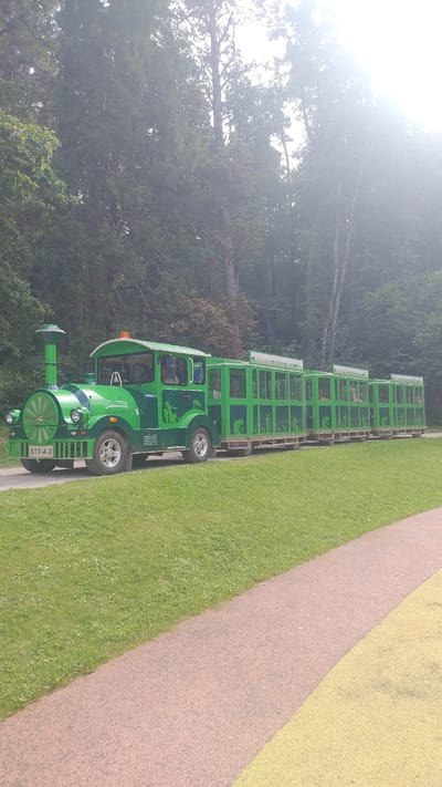 A green toy train is parked on a paved path next to a grassy area. The train has a locomotive and several carriages, each decorated with silhouette images of animals and people. The locomotive has a large, circular grill on the front and the license plate reads "STT-A-2". The carriages are open-air with green frames and railings. In the background, there is a dense forest with tall trees and the sun is shining brightly, creating a lens flare effect. The scene appears to be in an outdoor recreational area, possibly a park or zoo, in the city of Kroņauce, Latvia.