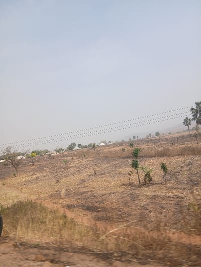 The image displays an expansive, dry rural landscape in Bokana, Nigeria, under a pale, hazy sky. The terrain consists primarily of reddish-brown earth and desiccated, light-brown vegetation, interspersed with dark, irregular patches consistent with burnt ground. A faint dirt track traverses the lower-left quadrant. Scattered across the mid-ground are sparse trees and shrubs, some exhibiting green foliage. In the mid-distance, a cluster of white-roofed structures indicates a small settlement. Three parallel overhead power lines are visible as dotted lines extending horizontally across the frame. Distant, low-lying hills are discernible on the horizon. A partial view of a dark object, possibly a vehicle component, occupies the extreme lower-left corner. No individuals or overt actions are present.