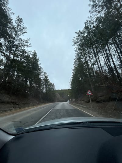 The image depicts a rural road scene in Sarantsi, Bulgaria, viewed from inside a vehicle through its windshield, with a portion of the dashboard and wipers visible at the bottom. The asphalt road, showing signs of wear, extends forward and curves gently to the right in the mid-distance. It features a solid white line on the right shoulder and a dashed white center line. Dense, tall evergreen trees, primarily pines, line both sides of the road, forming a forest canopy that frames the overcast, light gray sky above. On the right side of the road, a white triangular warning sign with a red border and a black right-curving arrow indicates an upcoming bend. Further down the road, a white passenger vehicle is discernible. On the left side of the road, near the tree line, what appear to be fallen logs or cut wood are present. No individuals are visible.
