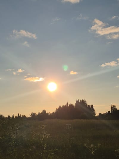 A vertical, full shot captures a natural landscape at dusk in Orekhovaya Gora, Russia. The sun, a bright, glowing orb, is positioned in the upper center of the frame, casting long rays across the sky. The sky is a pale blue with scattered, wispy clouds. In the foreground, a field of tall grass and wildflowers stretches across the bottom half of the image. A dense line of evergreen trees forms a dark silhouette against the horizon, with a single utility pole visible on the right. The overall atmosphere is serene and tranquil, with the fading sunlight creating a warm, golden hue over the scene.