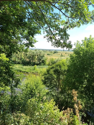 A scenic overlook on a sunny day, showcasing the natural beauty surrounding the city of Ivankiv, Ukraine. In the foreground, lush green trees and foliage frame the view. A tranquil river flows through the middle ground, bordered by dense green reeds and grasses. Beyond the river, a vast, open field stretches towards the horizon, dotted with scattered trees and shrubs under a clear blue sky with sparse white clouds. The scene depicts a peaceful, natural landscape characteristic of the Ukrainian countryside.