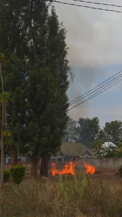 An outdoor scene in Longuo 'A', Tanzania, depicts a ground fire actively burning in dry vegetation within an open lot. Flames are prominent in the mid-ground, extending horizontally across the frame, consuming dried grasses and brush. Smoke, appearing light gray, rises from the fire and dissipates into an overcast or partly cloudy sky overhead. Three dark electrical wires stretch horizontally across the upper right portion of the sky. In the background, behind the burning area and several large, dark green trees, a single-story structure with a light-colored facade and a dark roof is visible. To the right of the building, a low concrete wall is partially obscured by the fire. The foreground features additional unburnt dry vegetation and some taller green plants. No individuals are present within the frame.