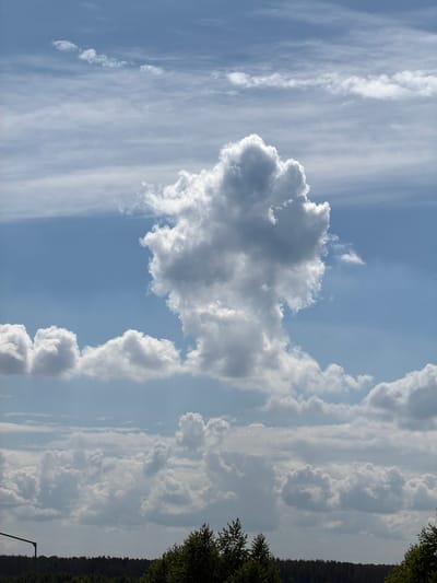 A photograph taken from ground level, looking up at a blue sky filled with white and grey clouds. A dense line of dark green trees forms the horizon, with a hint of a dark pole structure on the left side of the image. The central focus of the image is a large, puffy white cloud that resembles a figure, perhaps a person or an animal, against the lighter sky. The lighting suggests it is daytime.
