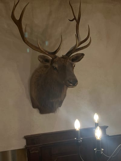 A taxidermied deer head mount with prominent, multi-tined antlers is affixed to a light-colored, textured wall in an indoor setting in Santa Ana Portales, Mexico. The deer mount exhibits dark brown fur and faces slightly right of center. A shadow is cast to the left of the mount. Below the deer head, a dark brown, carved wooden surface, possibly a mantelpiece or cabinet top, is partially visible. In the lower right foreground, a dark metal chandelier or candelabra fixture presents three illuminated, clear, flame-shaped light bulbs, which emit a bright, warm light. Faint, vertical, light-blueish reflections are discernible on the wall, particularly around the antlers. No people are present.