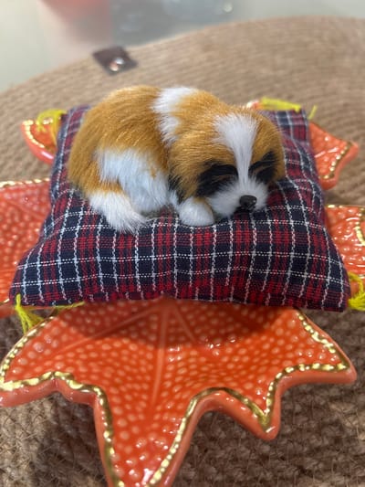 A close-up, overhead shot features a stuffed guinea pig toy sleeping on a small, red, white, and blue plaid pillow. The pillow is nestled within a decorative, star-shaped orange dish with a gold trim and a textured surface. The dish is positioned on a coarse, brown, woven background, possibly burlap or jute. The stuffed animal has brown, white, and black fur, with its eyes closed and its body curled up. A small yellow string or tassel hangs from the pillow. The lighting suggests an indoor setting, potentially with natural light. No text is visible in the image, and the emotional tone conveyed is one of peace and comfort, attributed to the sleeping toy. The location context of Kiskelovo, Russia is not visually represented in the image.