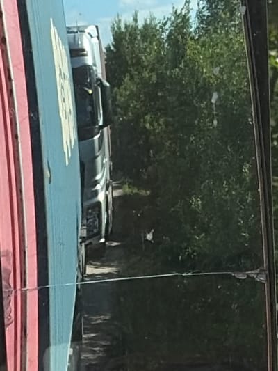 The image shows a reflection in a window. On the left side of the image, there is a close-up of a blue shipping container with vertical pink stripes on its left edge. The container has some text in yellow and white, partially visible. To the right of the container, the reflection shows a silver truck cab. The truck is parked on what appears to be a road, with trees and vegetation visible in the background. The sky is blue with some white clouds. The overall scene suggests a roadside location, possibly in or near Zarech'e, Russia, given the context. There are no people visible in the image.