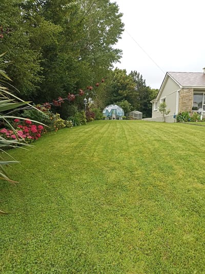 The image depicts a well-maintained garden in Annagry, Ireland. The foreground is dominated by a vibrant green lawn, neatly mown with visible stripes. To the left, a cluster of pink and red hydrangeas adds a splash of color, bordered by the spiky leaves of a palm-like plant. In the middle ground, a distinctive geodesic dome greenhouse and a smaller, rectangular greenhouse stand on the grass. Further back, a light-colored house with a stone-accented facade is visible, partially obscured by lush green trees and foliage. A few decorative garden ornaments, including what appear to be peacock statues, are placed near the house. The sky is overcast, suggesting a cloudy day. There are no people or animals visible in the scene.