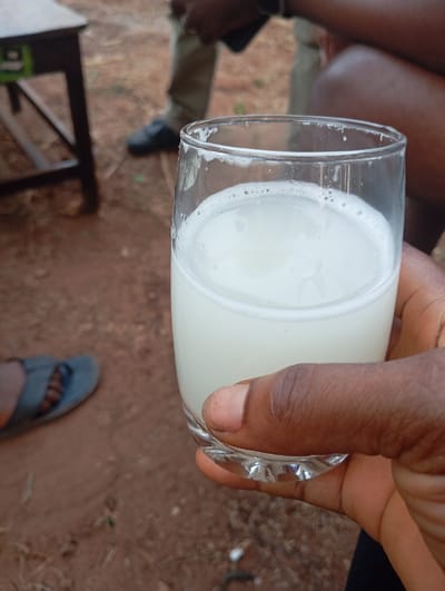 The image captures a close-up view of a dark-skinned hand holding a clear glass filled with a white, frothy beverage. The hand is wrapped around the lower portion of the glass, with the thumb visible on the left side and fingers partially visible on the right. The fingernails appear short and well-maintained.

The glass itself is made of clear material, likely glass, with a slightly thicker, possibly patterned or faceted base. The liquid inside is an opaque, milky white color, filling approximately two-thirds of the glass. A distinct layer of white foam or bubbles sits on top of the liquid, and some residue or foam clings to the inside rim of the glass.

The background is out of focus, suggesting a shallow depth of field, which keeps the drink and hand sharp. To the immediate left of the glass, a part of a dark wooden table or stool is visible. Further in the blurred background, towards the center-right, two legs of a person are discernible. This individual is wearing light-colored, possibly khaki or olive green, trousers and dark shoes. Their posture suggests they might be sitting. To the lower-left, another foot wearing a blue open-toed sandal is partially visible on the ground, likely belonging to a different person or possibly the person holding the glass.

The ground throughout the scene appears to be reddish-brown earth or dirt, reinforcing an outdoor or unpaved setting. The overall lighting suggests it is daytime, with no harsh shadows indicating direct, strong sunlight. The scene conveys a casual, relaxed atmosphere, possibly a social gathering.