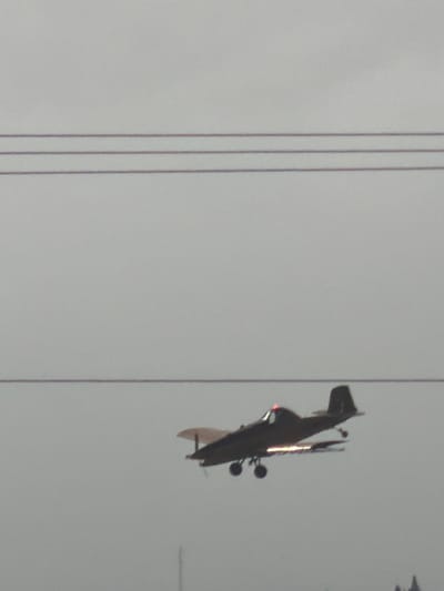 A blurry, medium shot features a biplane in the sky. It's dark, possibly black, with its wings angled sharply. Landing gear is visible beneath. In the foreground, three vertical wires bisect the image, suggesting power lines. The sky is overcast and gray, providing a flat, nondescript backdrop. Another plane is partially visible in the distance.
